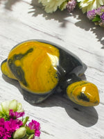 Bumblebee Jasper Turtle for Optimism, Embracing Change & Pursuing Your Goals