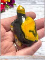 Bumblebee Jasper Turtle for Optimism, Embracing Change & Pursuing Your Goals